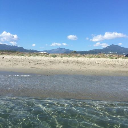 Maison En Pierre - Proche De La Mer Castellare-di-Casinca Esterno foto