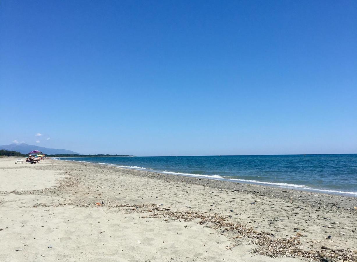 Maison En Pierre - Proche De La Mer Castellare-di-Casinca Esterno foto