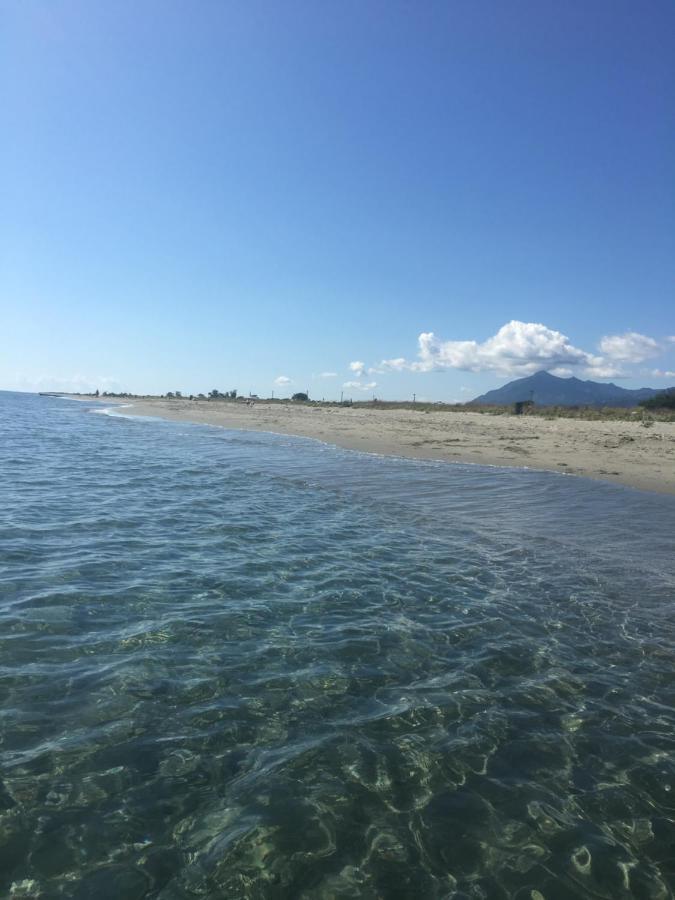 Maison En Pierre - Proche De La Mer Castellare-di-Casinca Esterno foto