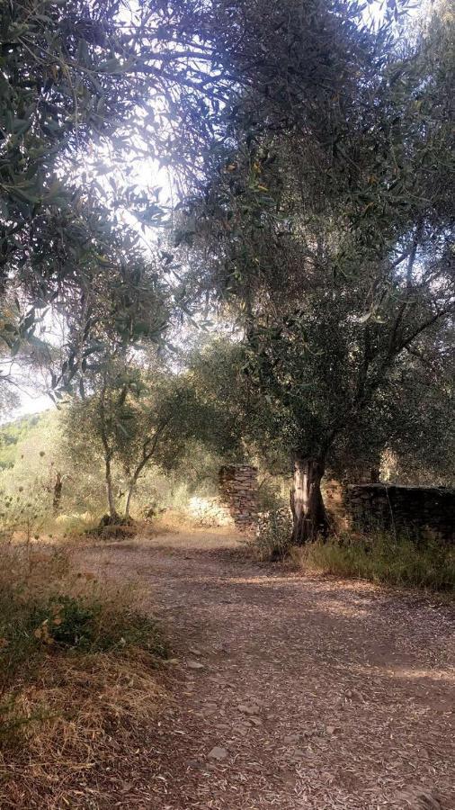 Maison En Pierre - Proche De La Mer Castellare-di-Casinca Esterno foto